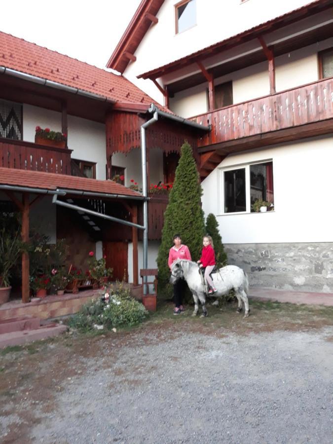 프라이드 Molnar Vendeghaz B&B 외부 사진