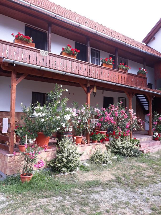 프라이드 Molnar Vendeghaz B&B 외부 사진